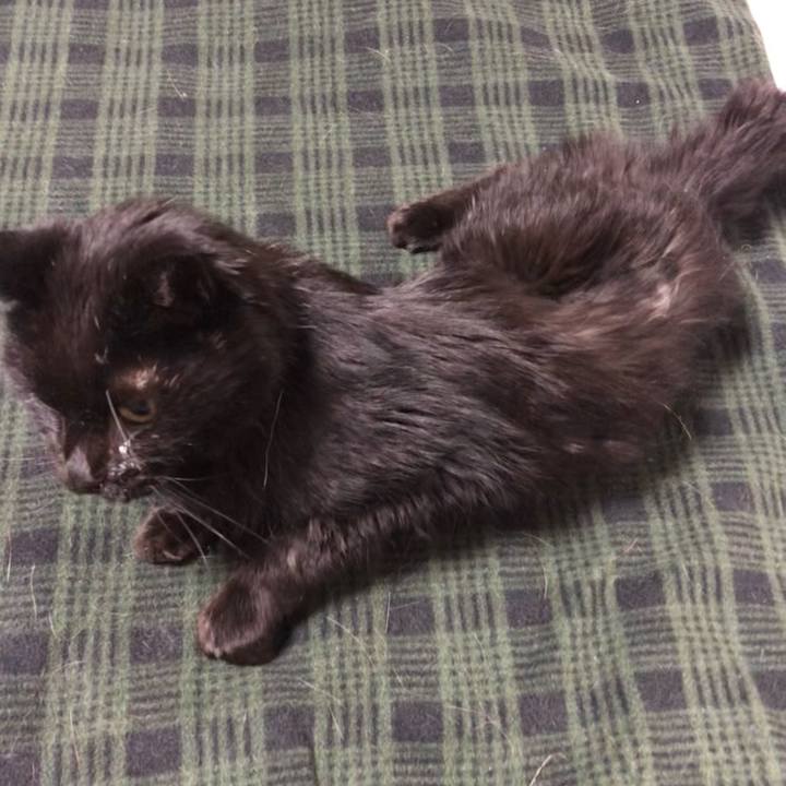 0eb312f9 cadd 435f a692 9a94ae8424f4 1646563186670