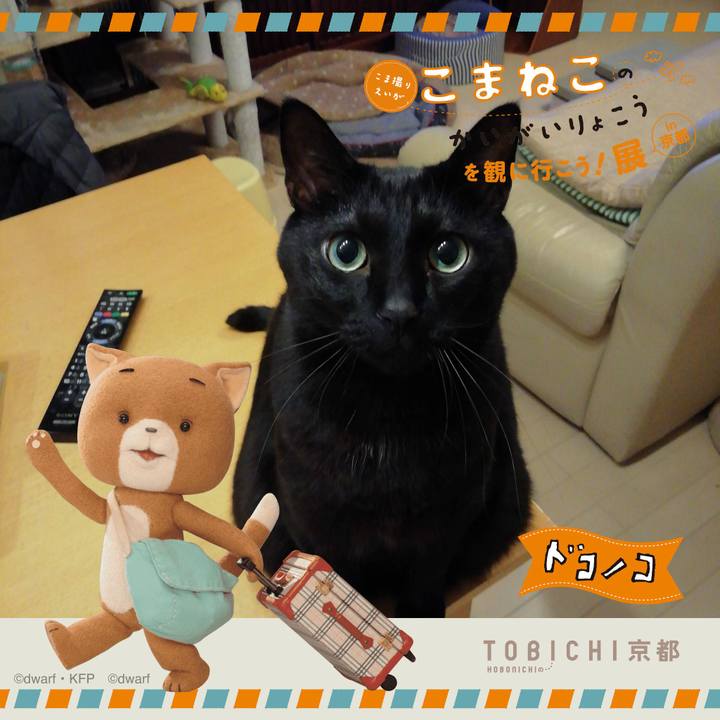 0eb315bf 1e3d 4f59 8fe5 9d3ff20c1cbb 1740142933509