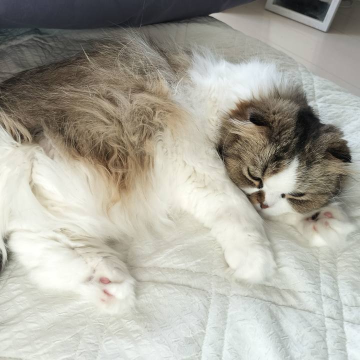 0eb371e8 b914 4f51 b86a a5b5bddbb375 1766116150137