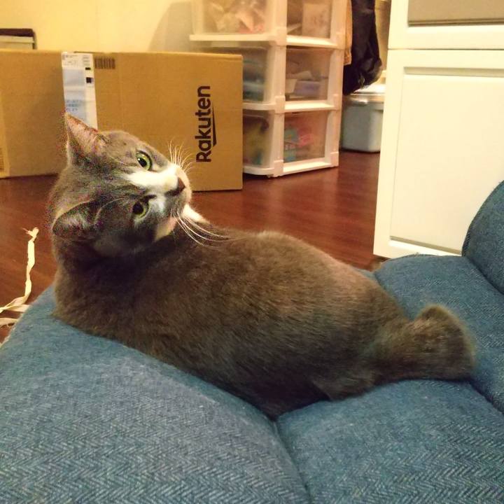 0eb3876e 8157 4630 b25f cb2ad132cb36 1636376204152