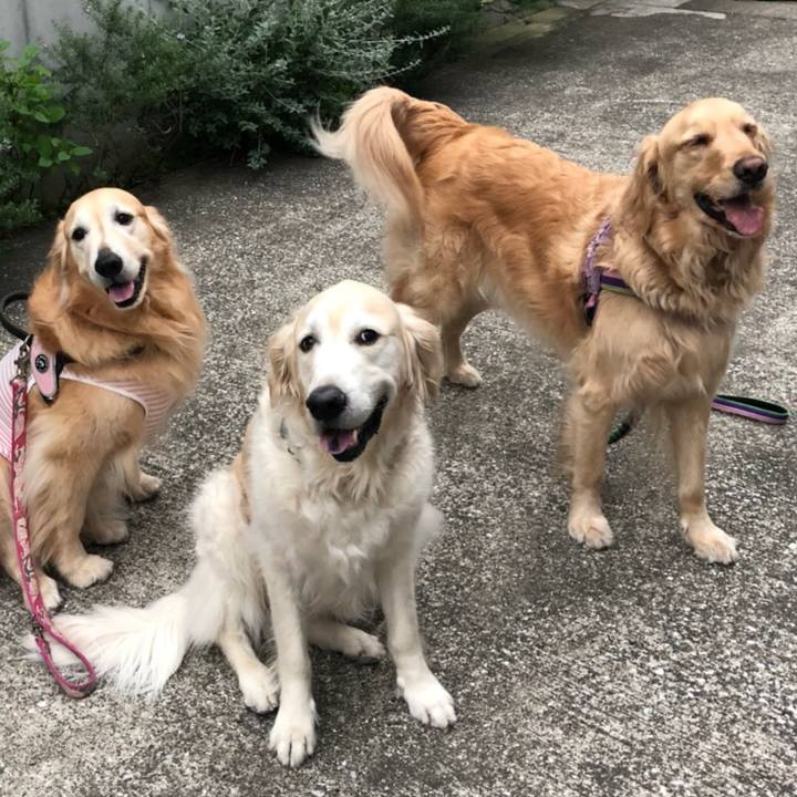 0eb399ab 4dd6 44d8 94b0 b109368e08dd 1523099556237