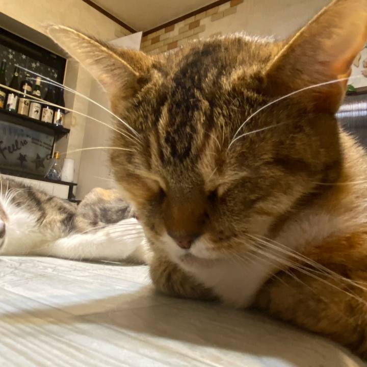 0eb3dcb3 b4aa 42c5 87de 097cea98a8b1 1606414453812