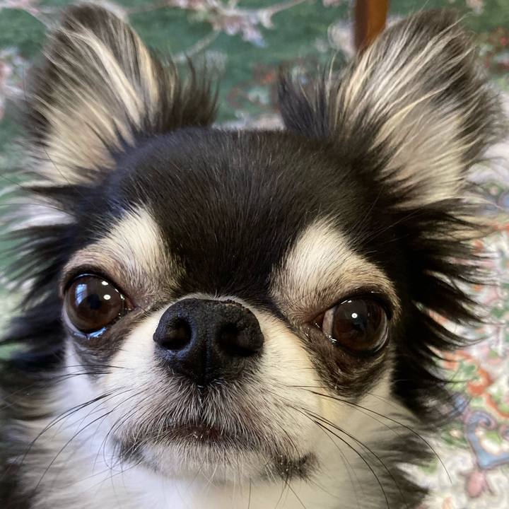 0eb3de36 297a 4d15 befb 22a03f98f980 1651966145769