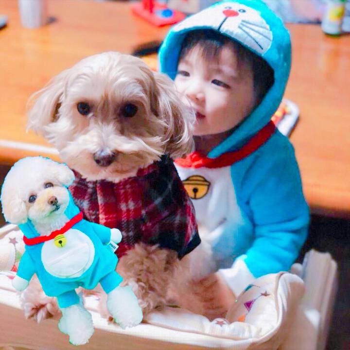 0eb3e407 15ba 4a74 b867 b1bb4ee7fc01 1518323339584