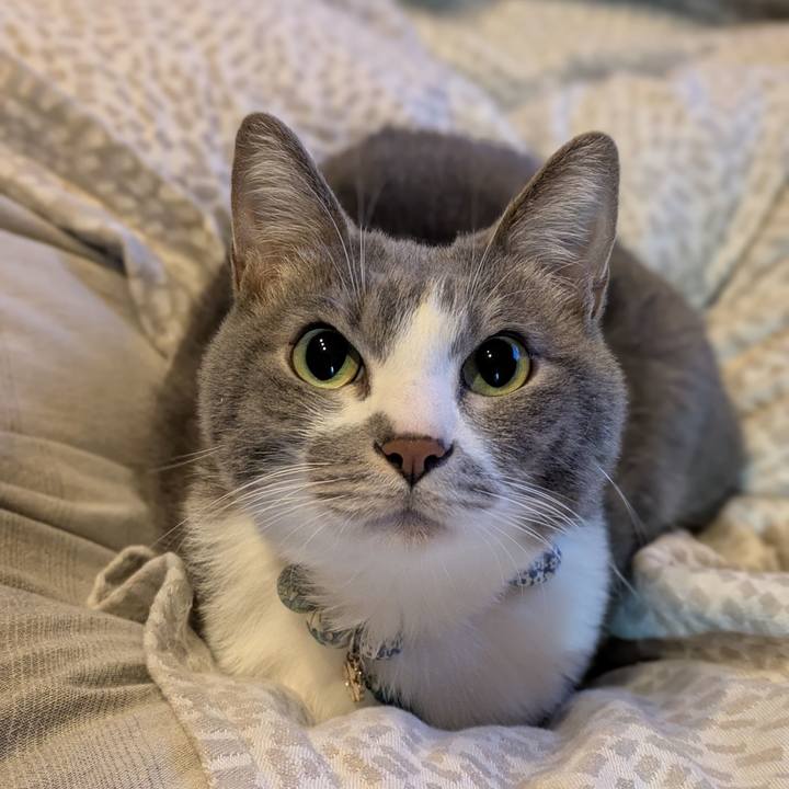 0eb41f01 6a0d 4d19 a0e0 fde3888afcd3 1734303001926