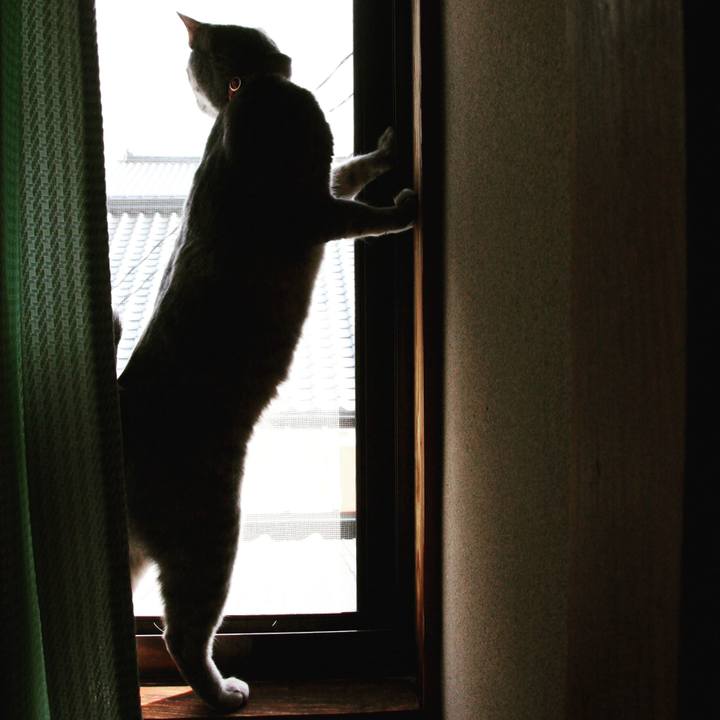 0eb41fe0 d1ae 40e2 8bcb bde805f2f6c4 1520160382947