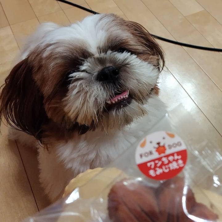 0eb4a745 6855 43cd 99bc b5cf7d444d30 1697973505094