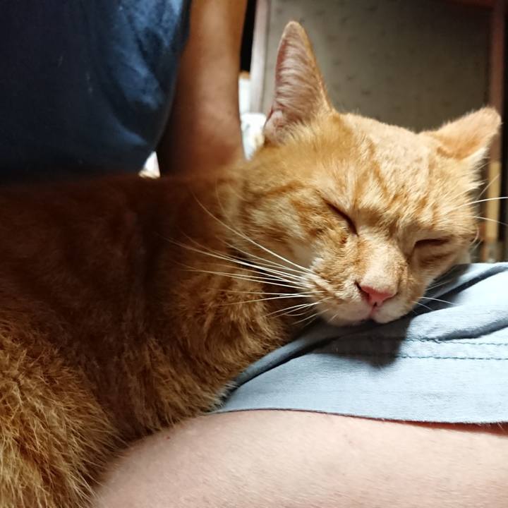 0eb4dd5e 57a7 4832 9102 6bbd912ee6c4 1599681767483