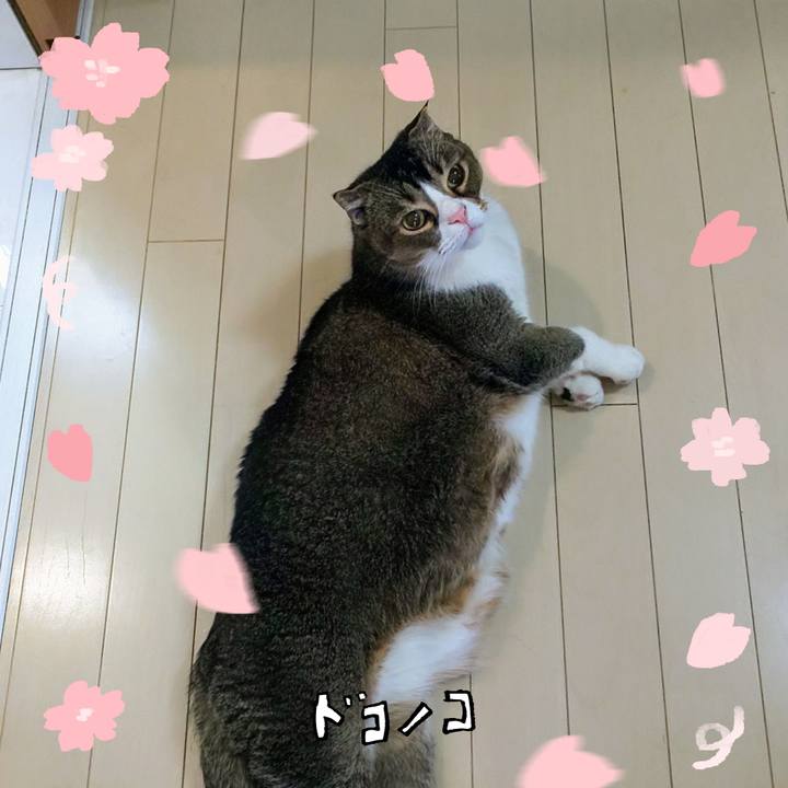 0eb4e47c 5959 4c01 9b12 69a71778b093 1744591459770