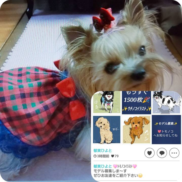 0eb4f673 c912 4812 819c 7363478c95ab 1715481376279