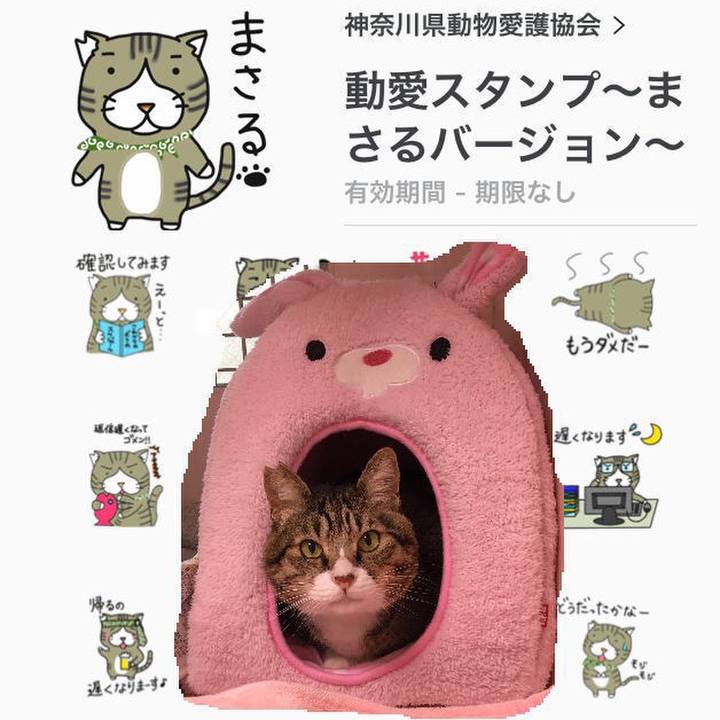 0eb53e36 3397 427a 837e a78220913a6c 1550280809863