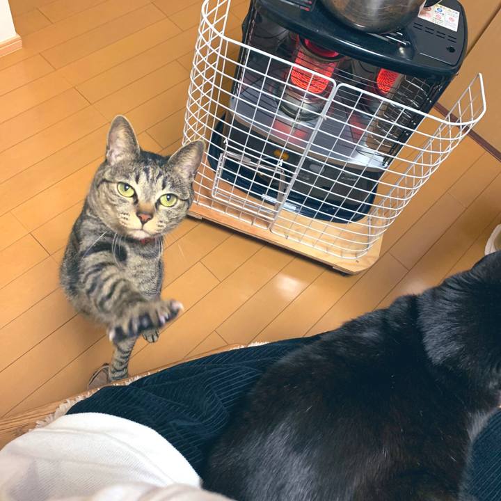 0eb590ab aa93 4dfb 81c2 3aef50dec288 1551450993318