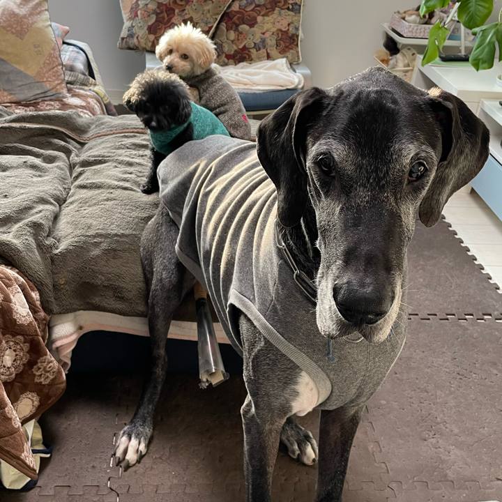 0eb5e174 7830 4e61 abe8 302c238fd428 1643236624506