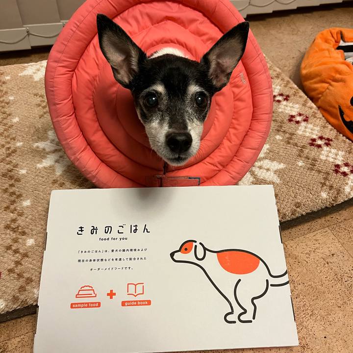 0eb60cdb 556d 4ee5 b335 f6680fc0b3d1 1636756815326