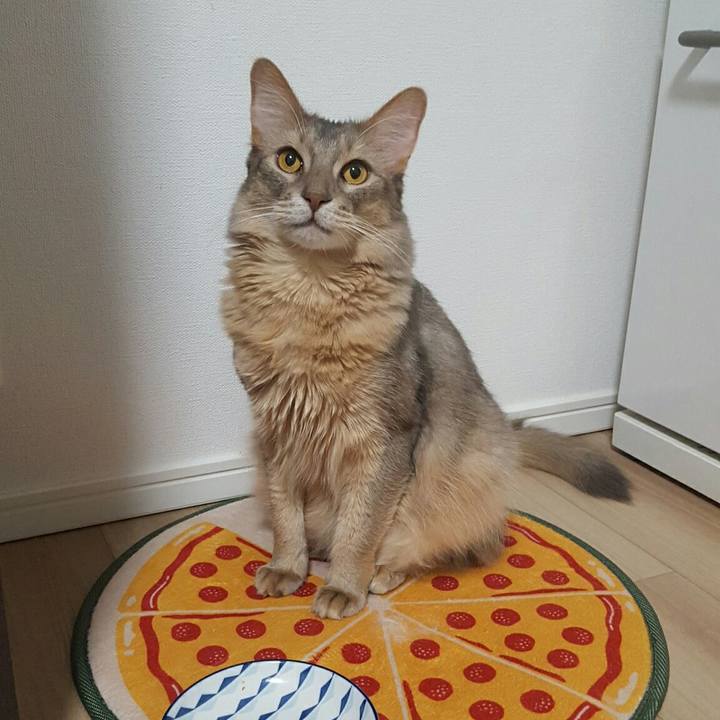 0eb61422 551e 4839 82f8 694172612c2c 1542108676489