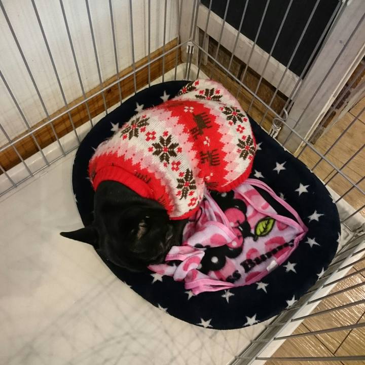 0eb6255c b8e4 43ee 992b 70627619dd2f 1513388241748