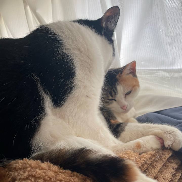 0eb65d89 e2ca 44e6 a517 37ba829578c1 1719451580278