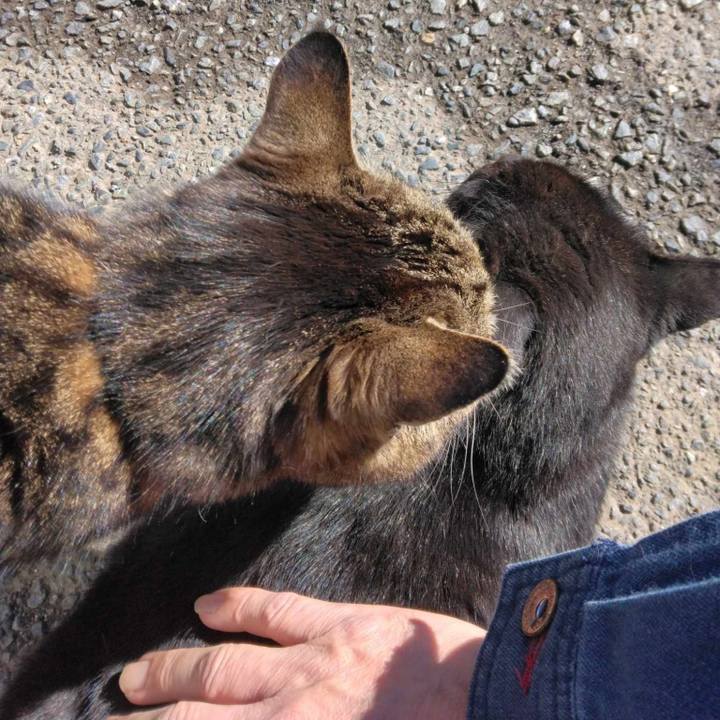 0eb670ae 3267 496f 959e 5145bf88b295 1711526716642