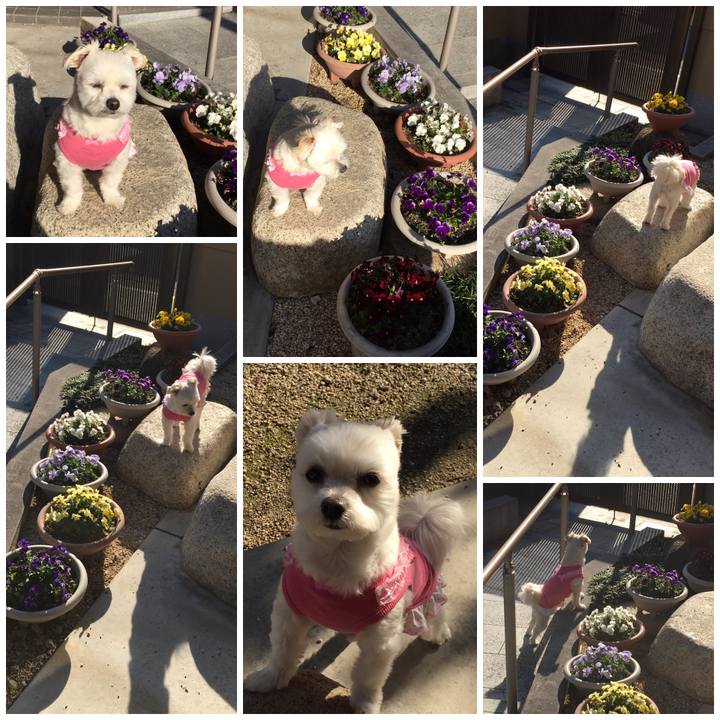 0eb6785d 12e5 49ae be20 c7efe5d3a5c2 1552114393003