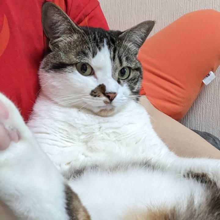 0eb67998 4213 4d75 8d9f 522c8872a3fe 1685350253385