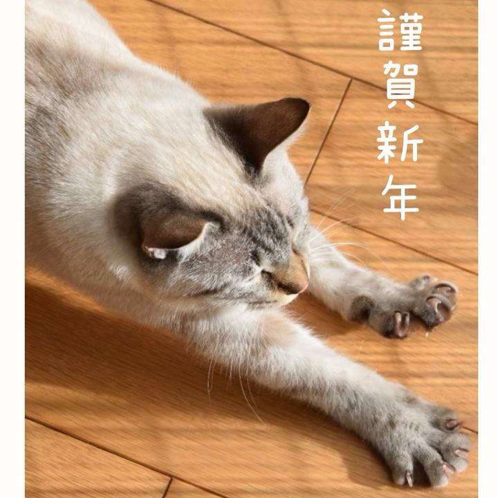 0eb69b7d b8e2 4ec4 bcb1 60ae45542e18 1735900097099