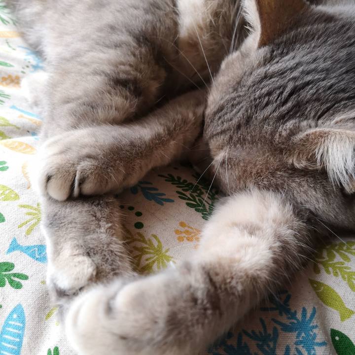 0eb69ccf bc5f 473a a42f 34ad674fde67 1563609850649