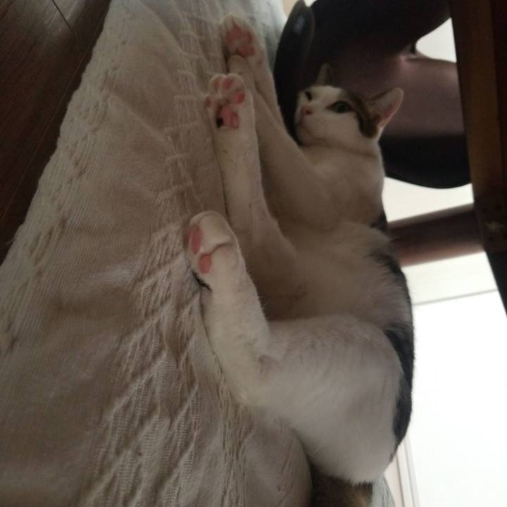 0eb6f37b 41a8 4972 a815 5294d4933812 1583961402338