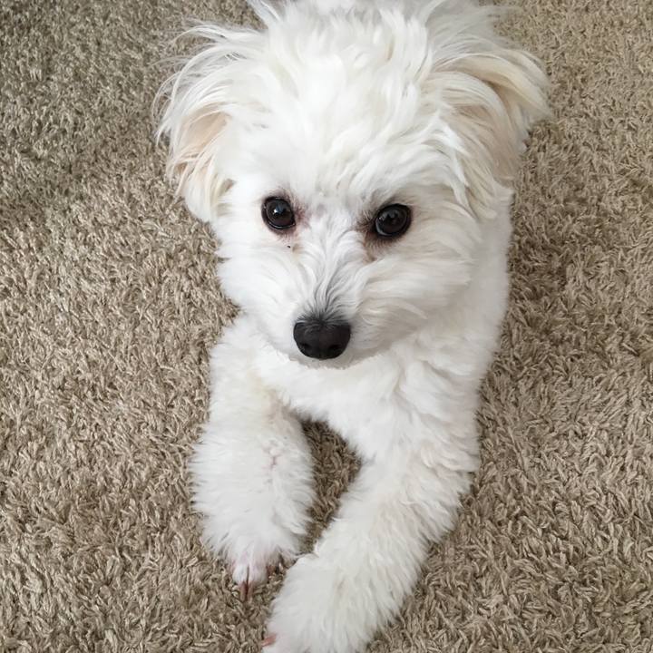 0eb6f755 1f18 4302 8176 1b698f32c53a 1554938759127