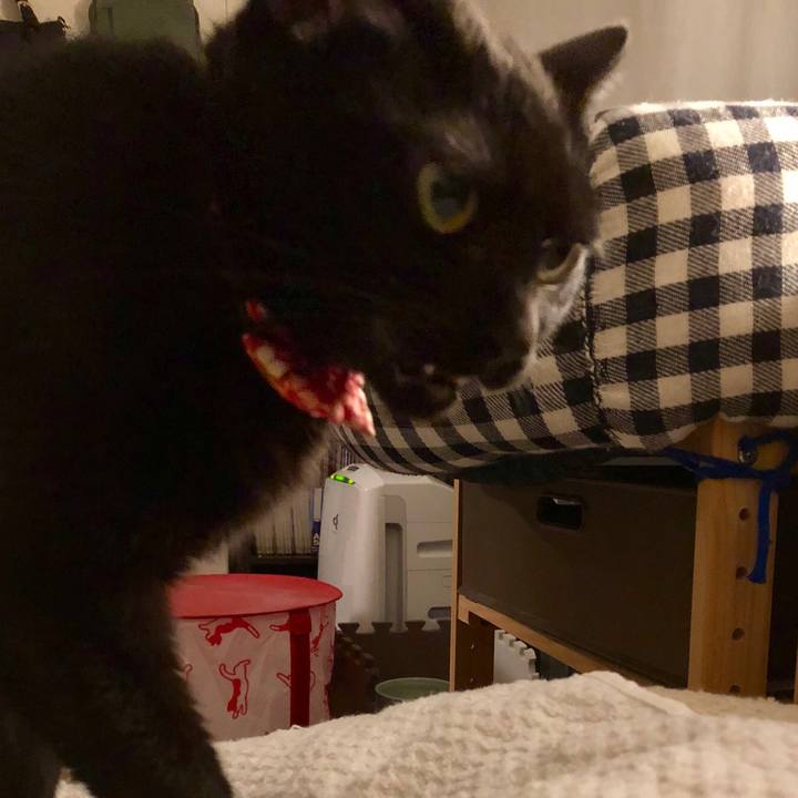 0eb6f798 c60b 4b3e 85fb a4aaf1049c8c 1515756796138