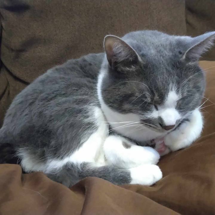 0eb70221 be01 4e49 b92c 64b28312c284 1710490113743