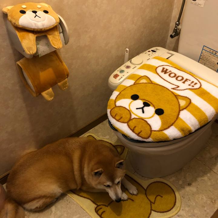 0eb71e5f f50e 4e6a 870c 451f4b57f27e 1568197895935