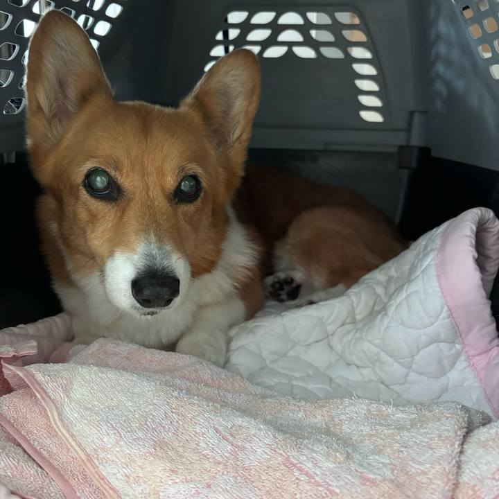 0eb74c0e ff19 45b7 83dc 9ff34185962c 1751340965678