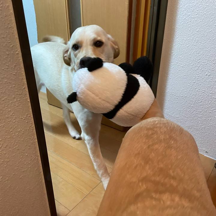 0eb75b21 0c40 4096 93a0 9025fed8aaab 1643580818123