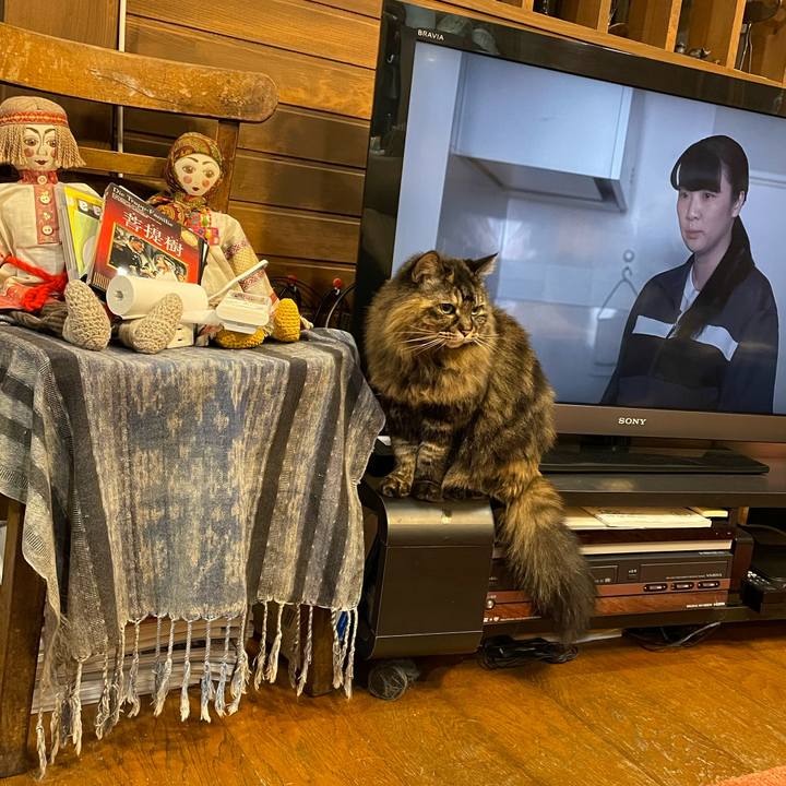 0eb75ccc 9a83 48d0 ae53 cf47cae05f43 1707535348660