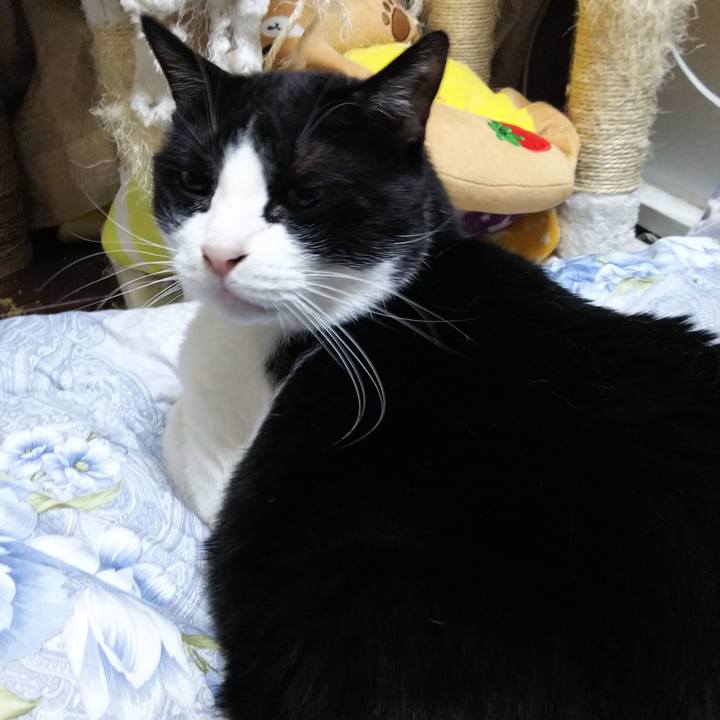 0eb77128 3610 4342 83c8 a54768d8bcb8 1551127784989