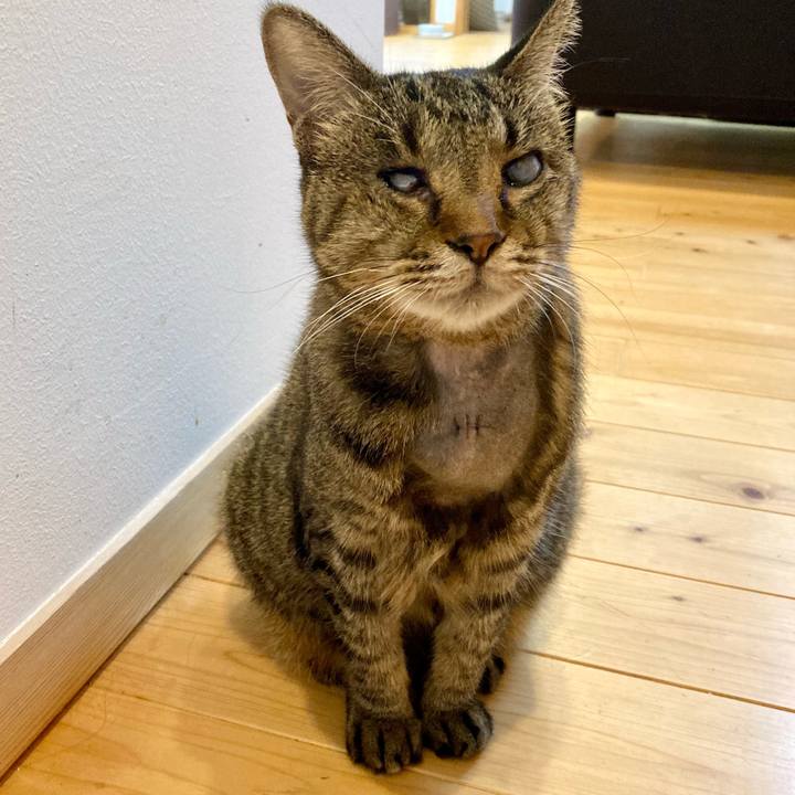 0eb7b051 8e8e 44f0 aa96 9796bb933ce0 1633825668764