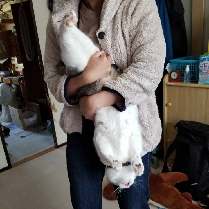 0eb7ccdd 2033 4b14 b64a c95f527ad186 1623337728918