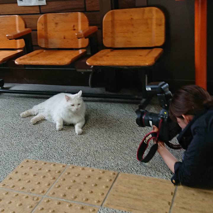 0eb7d96d 5f5b 46fb aa2c fe4ecdae4d41 1527114175365