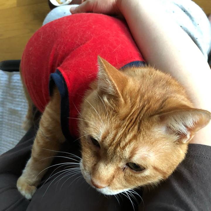 0eb83633 1f38 4b41 8ce7 bdc09b50ef27 1636062625099