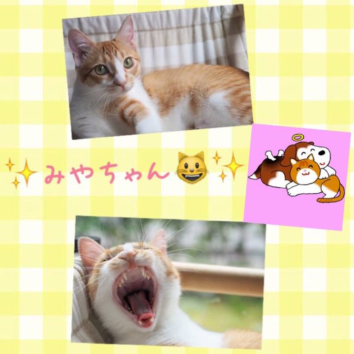 0eb8391e 1347 4020 877a b0f0e7af7de5 1525253178510