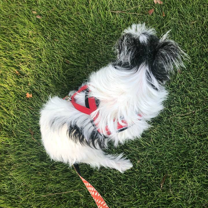 0eb84d10 ee2b 48d2 9c1a 2fdce67ced85 1541918603076