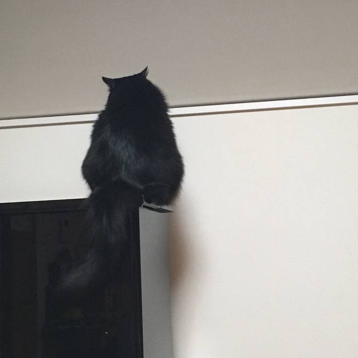 0eb8569f 23c9 4c8d 844e 4f37607fa777 1543321145087