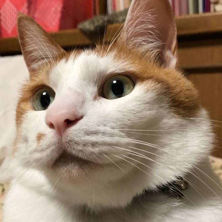 0eb87336 9b1b 4cfd bdd0 ac61bd6e453c 1530359387377