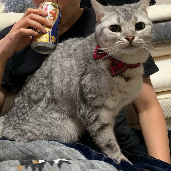 0eb88751 2077 4340 aac7 9cdf47c1b193 1580461670483