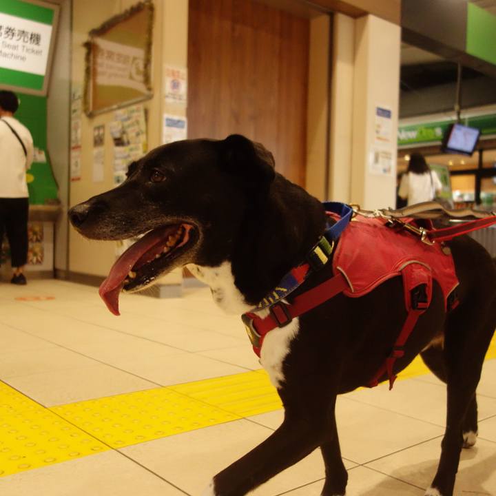 0eb8a29a 176b 4fb7 8f58 48ccff303e69 1694911436388