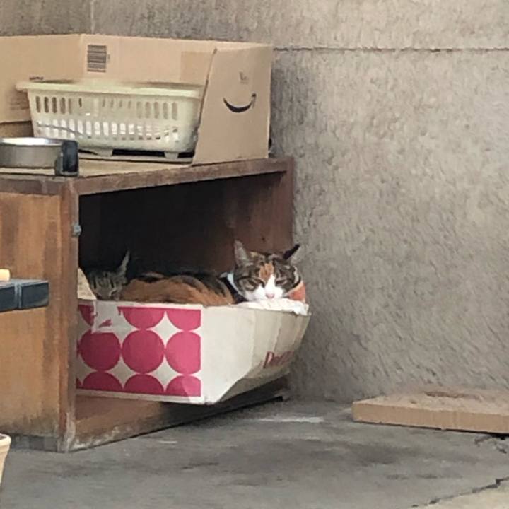 0eb8e786 39f9 4606 9a95 abb0f3e0904d 1542789684278