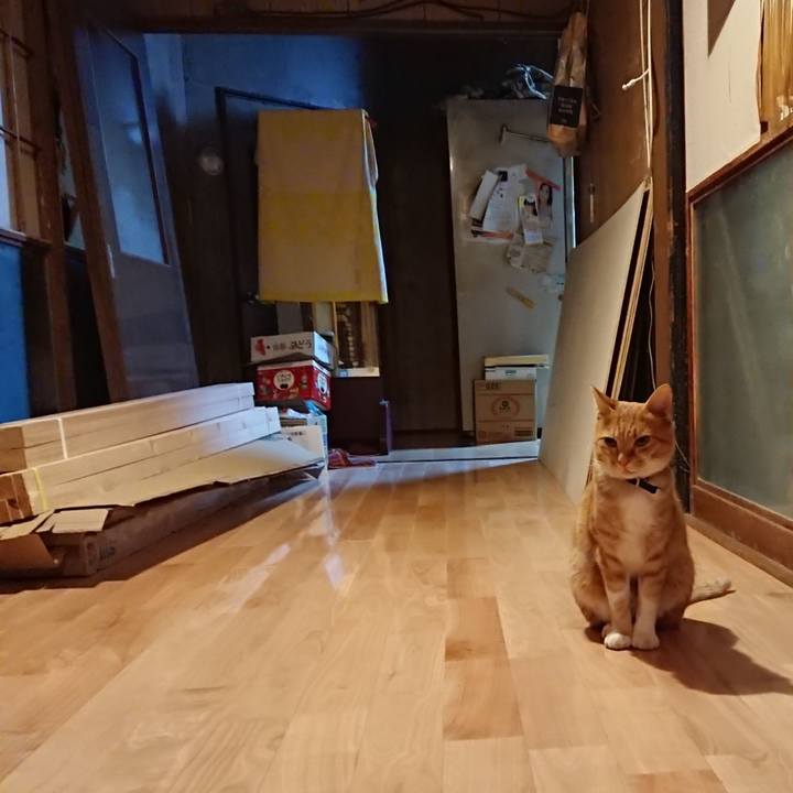 0eb8ff6e fbf9 4ca2 a78c 8ae44f80539e 1601974377258