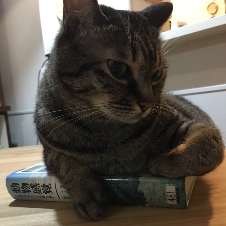 0eb97136 9cc4 4c43 9c78 23eb4fe405e6 1593694899718