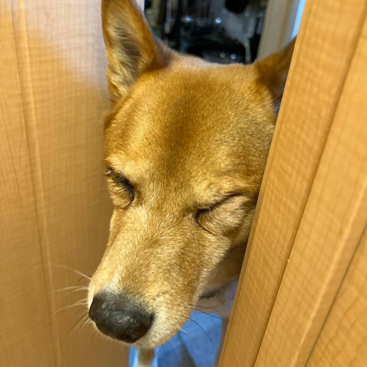 0eb9a444 71a6 4e67 af49 54ba4124cf39 1765694916772