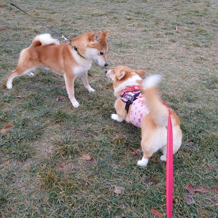 0eb9a59b c262 4451 ac34 d73f7310fd72 1765147924009